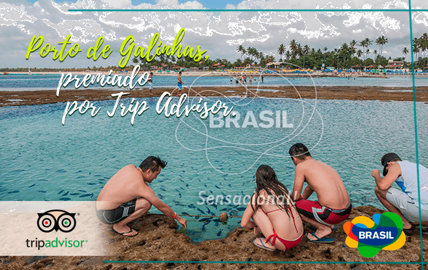 Porto de Galinhas fue premiado como destino vacacional por TripAdvisor